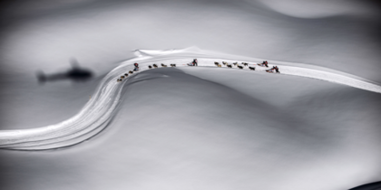 Dois fotógrafos da AFP ganham o World Press Photo 2014