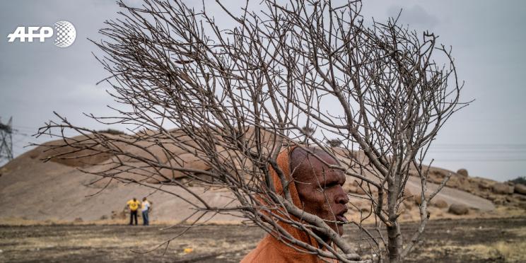 Marco Longari et Patrick Baz à l’affiche du Festival de Coimbra au Portugal, du 17 avril au 30 mai 2018